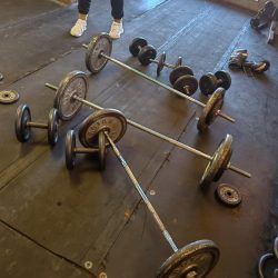 WhatsApp Image 2025-07-10 at 07.53.57 (1)