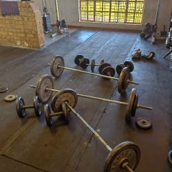 WhatsApp Image 2025-07-10 at 07.53.57